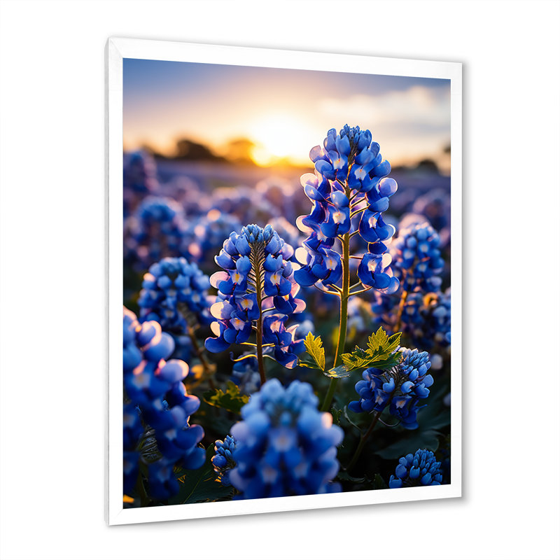 Bluebonnets Flower Blissful II - impression, H 20 po x l 12 po x P 1 po, Cadre photo blanc