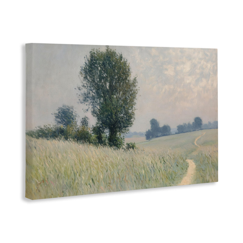 Tall Grass Path in Field Canvas, conception de Petal Prints Design, H 16 po x l 24 po