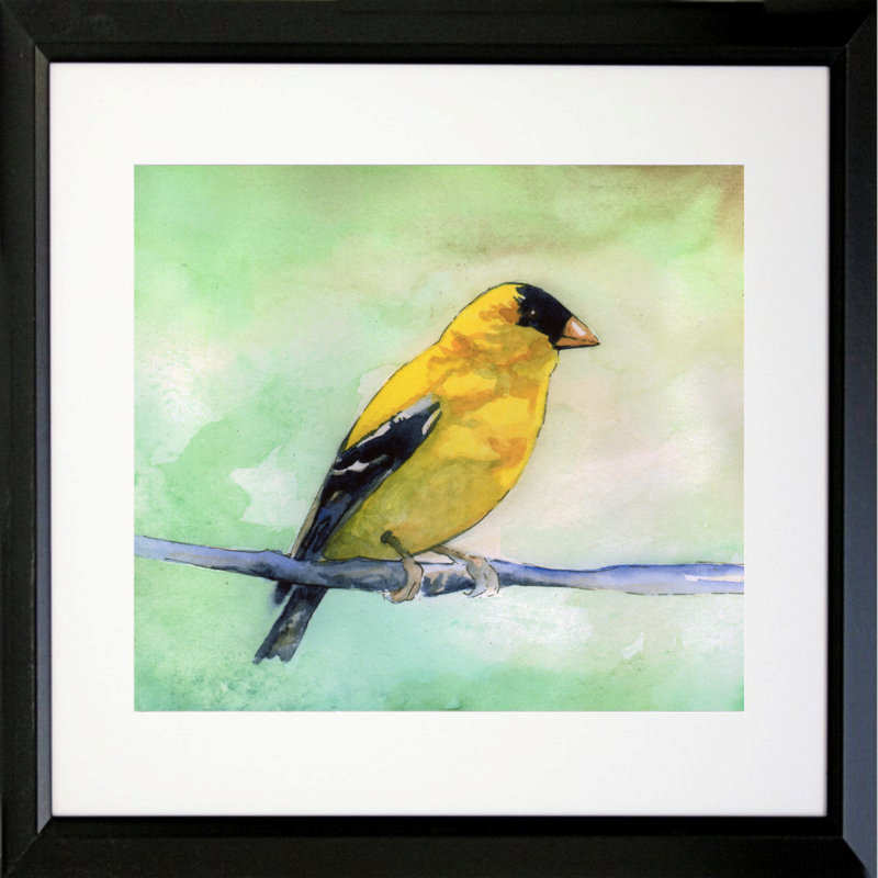 Chardonneret par Sean Parnell - reproduction d'art sur toile, H 18,5 po x l 18,5 po x P 1 po, Cadre photo noir, Blanc mat
