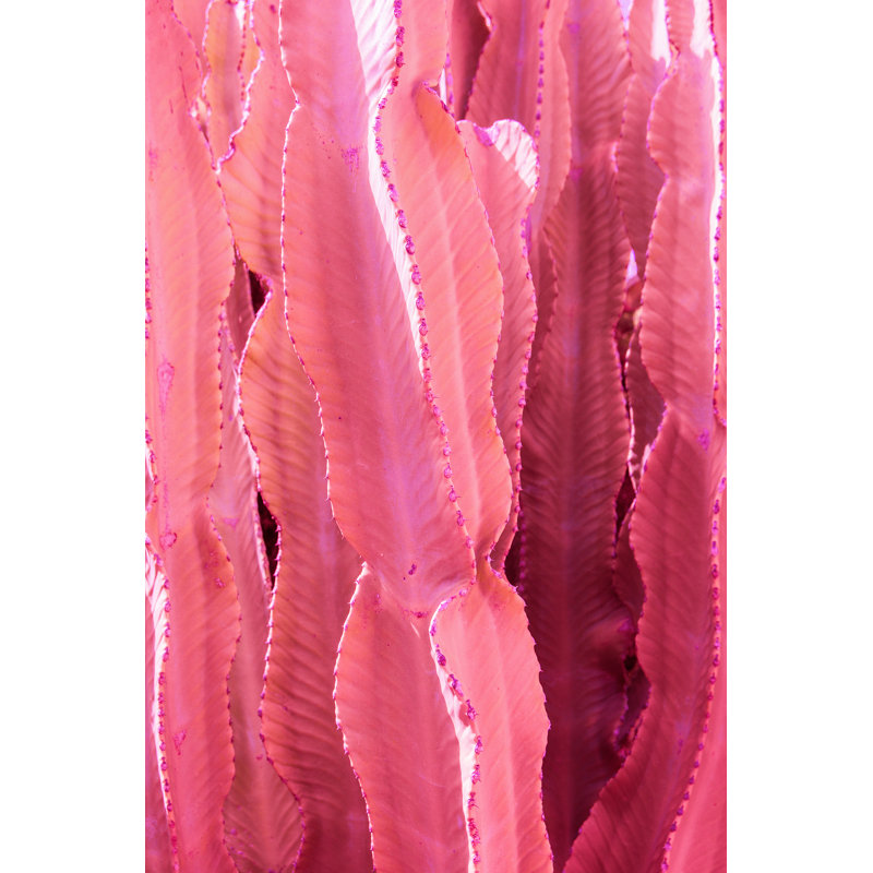 Jade Tiger Cactus Brushwood by Olindana - Wrapped Canvas Print, 76cm H x 51cm W x 3.8cm D