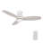  48" Ceiling Fan With Remote, Light Kit Included.-1177046074