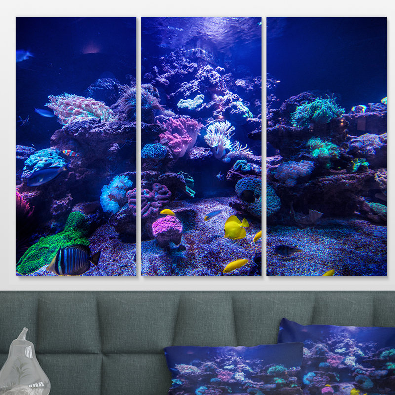 « aquarium récif tank », reproduction de photo à multiples images sur toile tendue