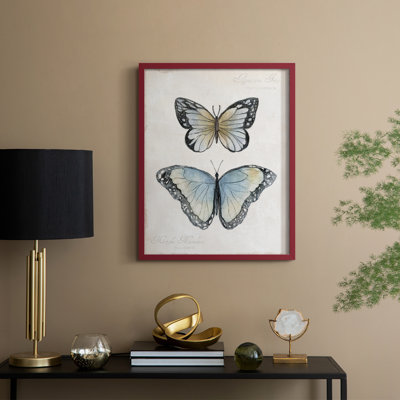 Vintage Butterflies II Framed Print - Solid Wood
