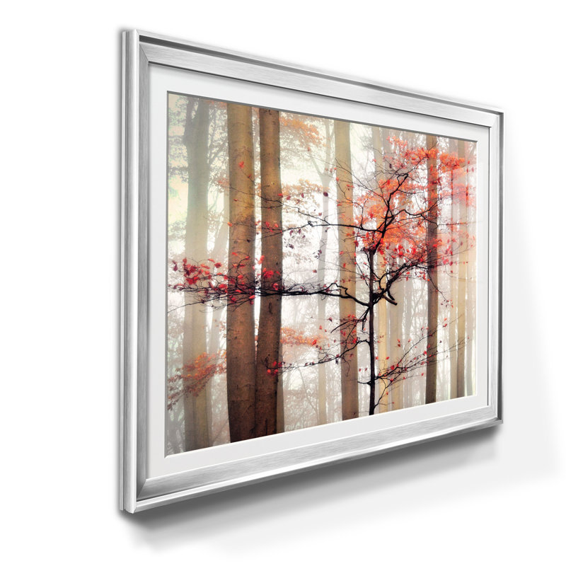 Awakening - Cadre photo, impression sur papier, H 22,5 po x l 30,5 po x P 1,5 po, Argent