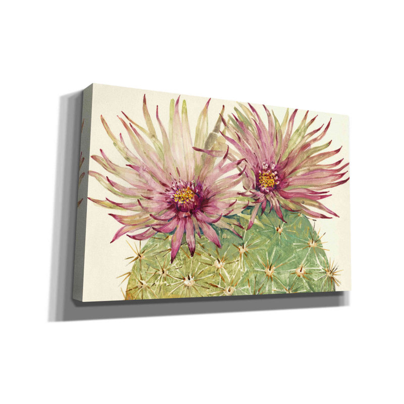 «Cactus Blossoms I» par Tim O'toole, art mural sur toile, H 26 po x l 40 po x P 1,5 po