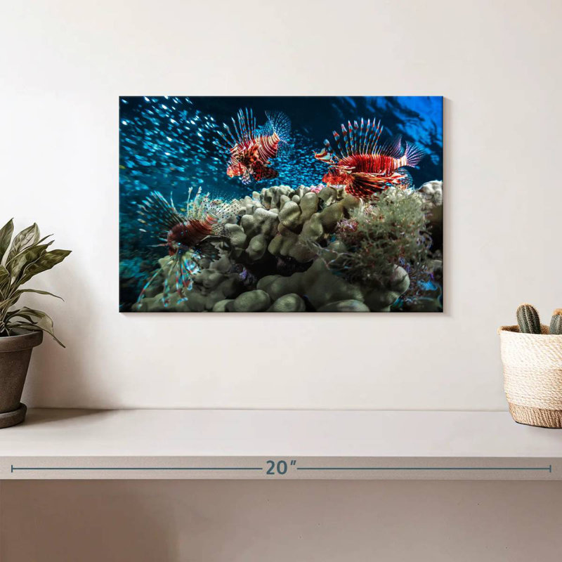 Crowle Lionfish School, 8" H x 12" W