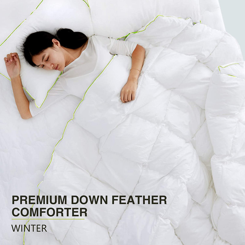 Winter Down Blend Down Comforter, King