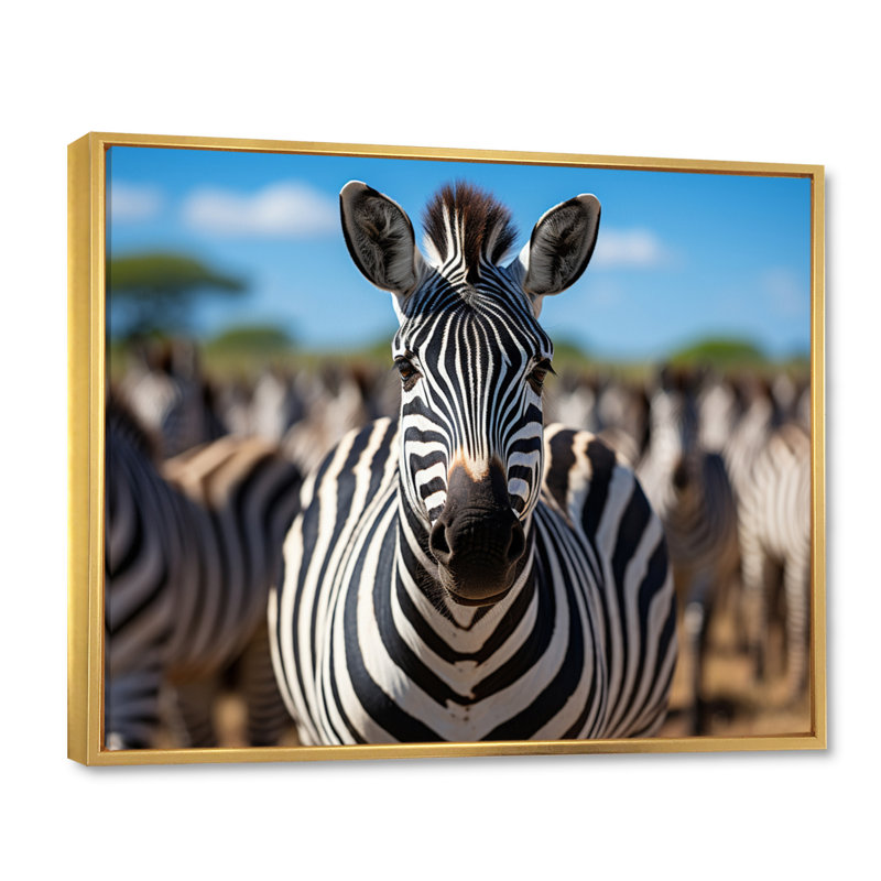 Zèbres d'Afrique, impression sur toile, H 24 po x l 32 po x P 1 po, Cadre flottant doré