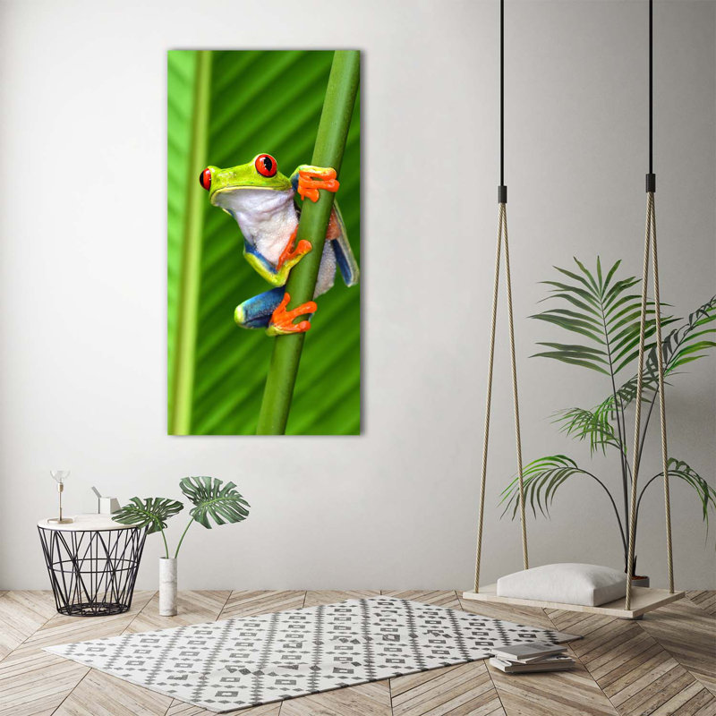 Tree Frog - Wrapped Canvas Print