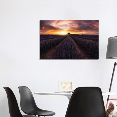 Lavender Sunset by Jorge Ruiz Dueso - Wrapped Canvas Print