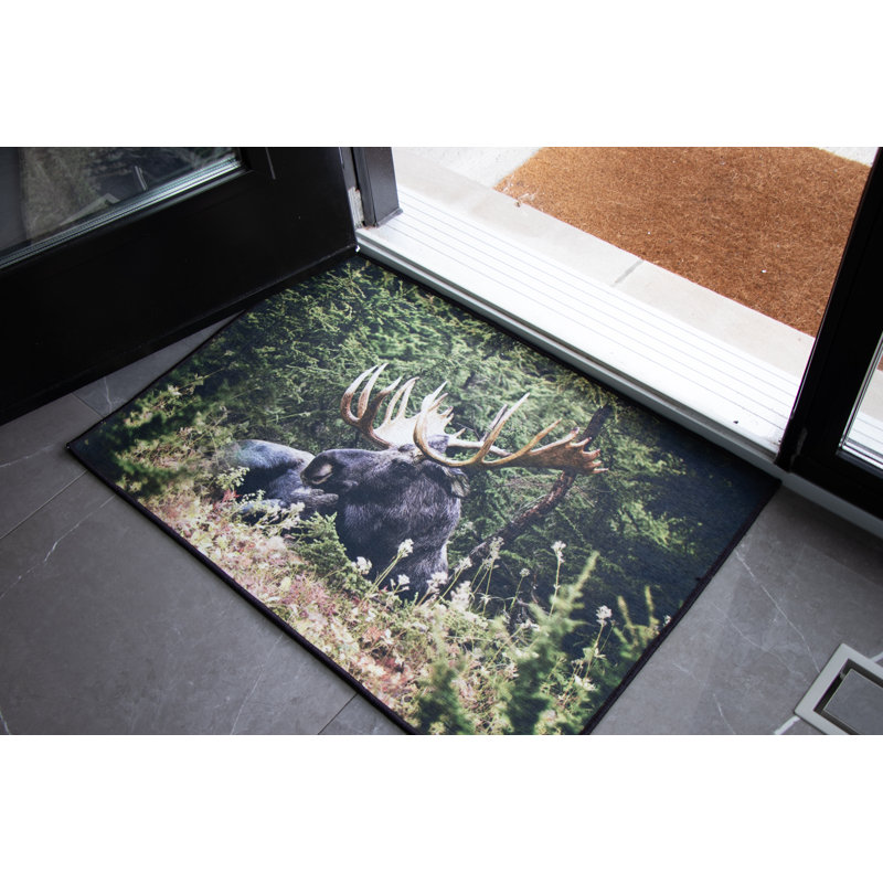 Tapis Moose, Rectangle 2 pi x 3 pi