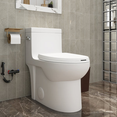 TCYO GPF Elongated One-Piece Toilet (Seat Included)