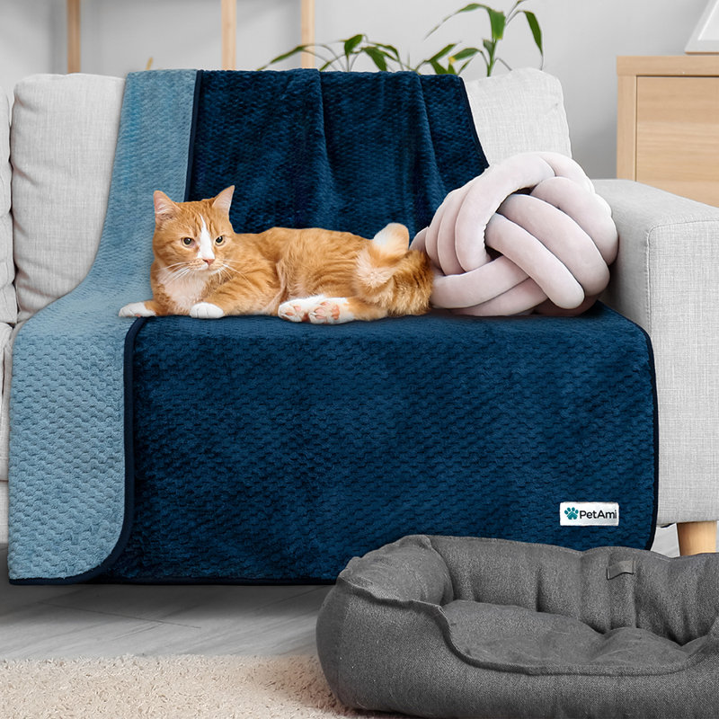 Fleece Polyester Pet Blanket, Navy/Blue, 60" x 40"