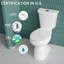 Toilette haute deux pièces compacte 19 po ADA pour personnes âgées, 1,1 / 1,6 GPF Tornado double chasse, CARTE 1000 g, blanc-114137559
