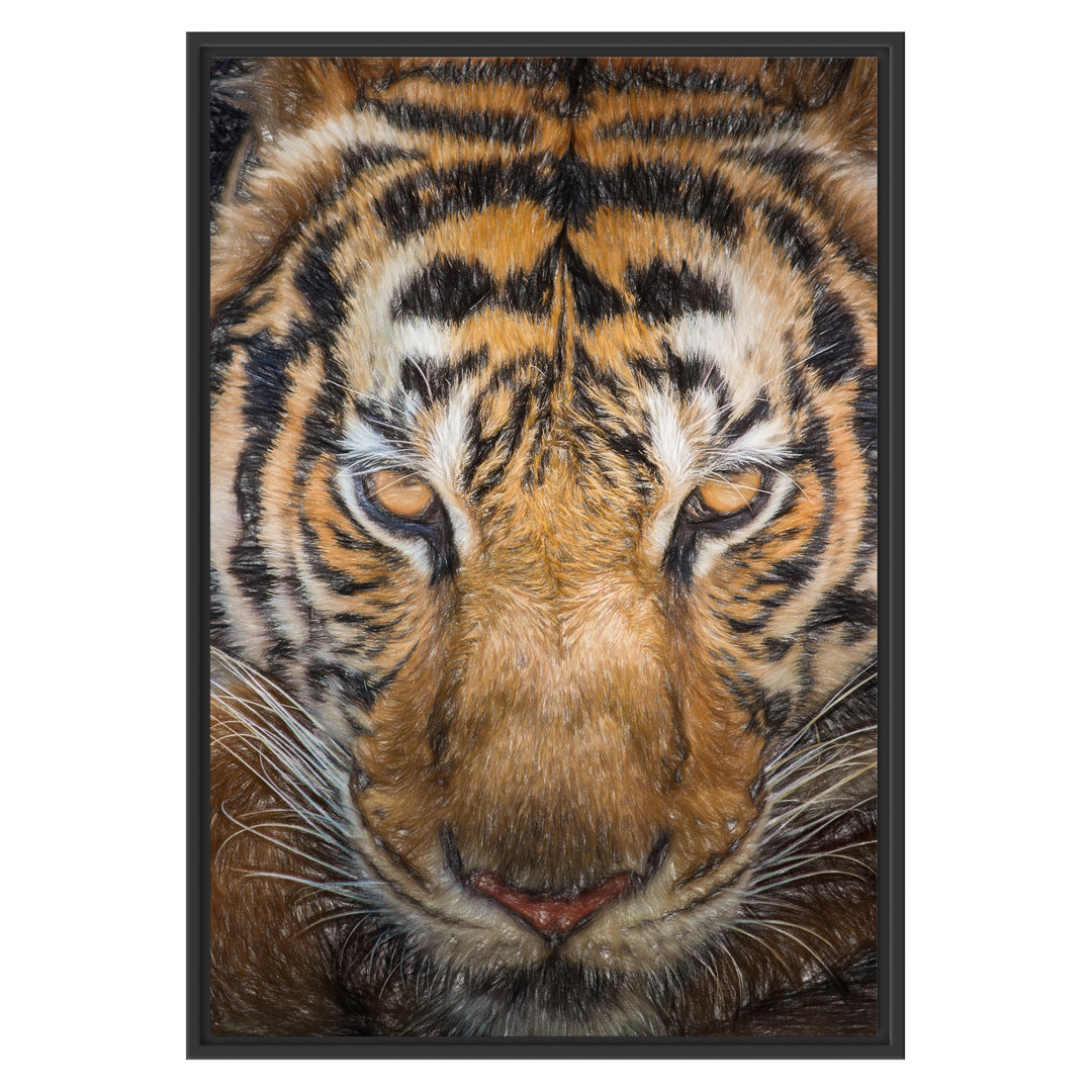 Gerahmtes Wandbild Tiger mit hellbraunen Augen