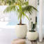 Pot de fleurs Dorlis Fiberstone-865934065-930299750