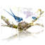 Oiseaux bleus nourrissant des poussins dans un nid sur une branche, ensemble de 3 impressions sur toile-1450478782