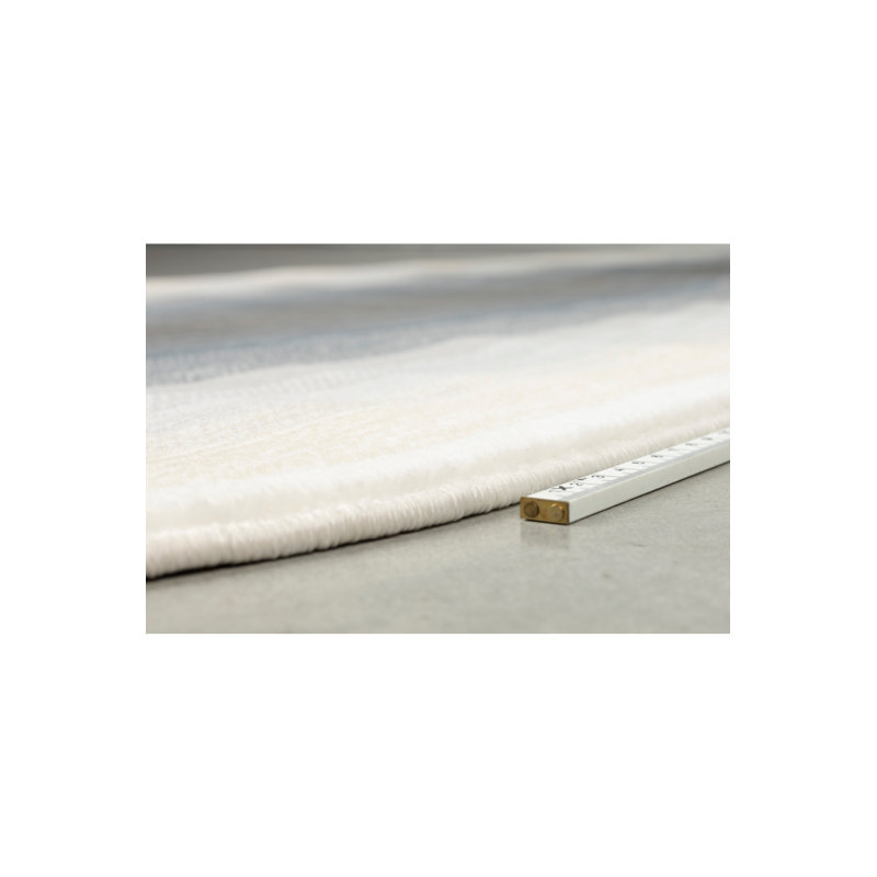 Olympic Area Rug, Oval 2' x 8'