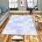 Antibacterial Hall Carpet, 3D Digital Printed, 3.3 x 4.9 ft | 100% Polyester, 0.3 in Pile Height, Non-Slip Underside, Machine Washable, Durable & Easy Care | Perfect for Living Room, Entryway & Home Décor-974502282