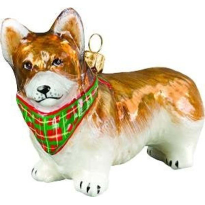 Pembroke Welsh Corgi with Tartan Bandana