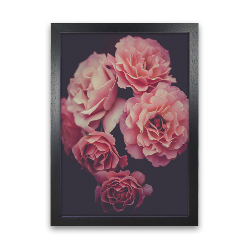Dreamy Roses - No Frame Print, Black Framed, 46cm H x 34cm W x 3cm D
