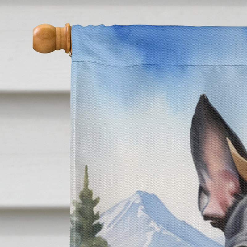 Drapeau Cowboy Welcome House, Boston-terrier