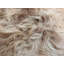 Kearney Solid Colour Sheepskin Area Rug-36342637