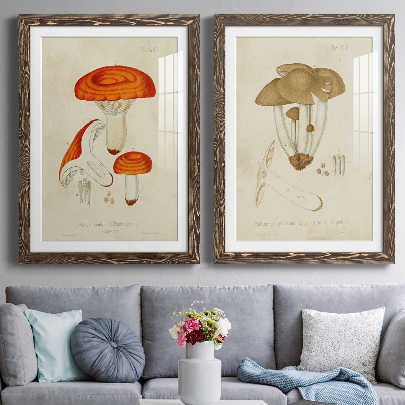 Champignon Variétés de qualité supérieure encadré mat - prêt à accrocher, Noyer, H 43,5 po x l 31,5 po x P 1 po