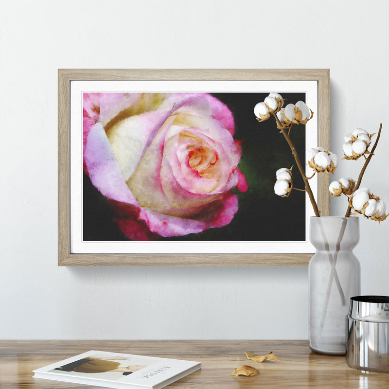 Pink Tipped Rose - Picture Frame Graphic Art Print, 45cm H x 63cm W x 2cm D, Oak