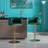 Swivel Height Adjustable Bar Stool Set of 2-102098609