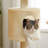 Multi-Level Cat Climbing Tower With Cat Condo, Cat Tree With Scratching Board-1514182590