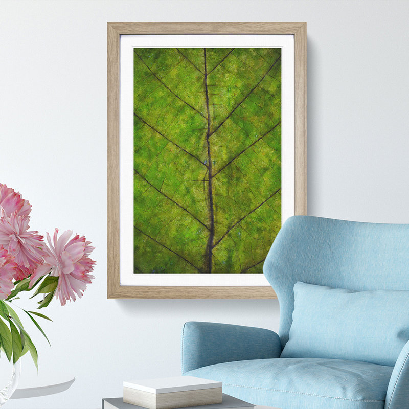 Leaf Lines - Framed Print, 87cm H x 62cm W x 2cm D, Oak Framed