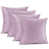 Light Gray Lavender