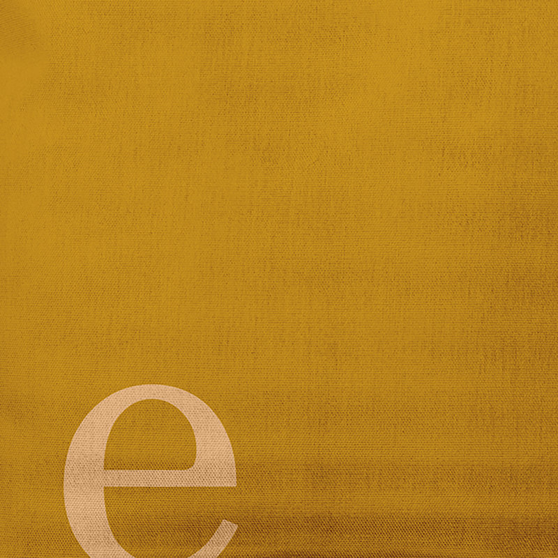Modern Monogram Indoor/Outdoor Throw Pillow, Autumn Gold