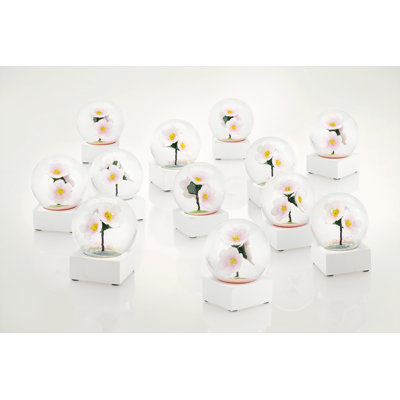 Blossom To Go - Set Of 12
