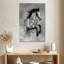 Ronce noir et blanc Appaloosa-108241571