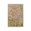 Edgedale Panel Peach-A Painting