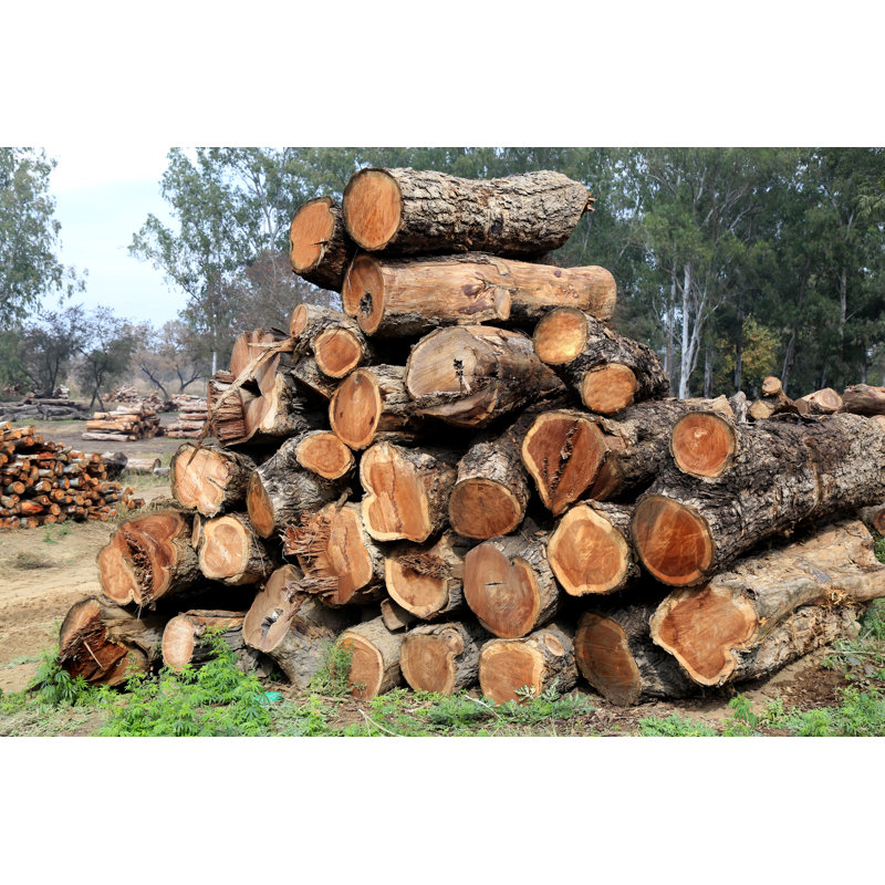 Heap Of Woods Pile by Pixelfusion3d - No Frame Art Prints on Canvas, 20cm H x 30cm W