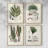 Bold Shape Shift II Framed Print - Set of 4-1251737016-1251737021