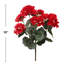 Arrangement de géranium
