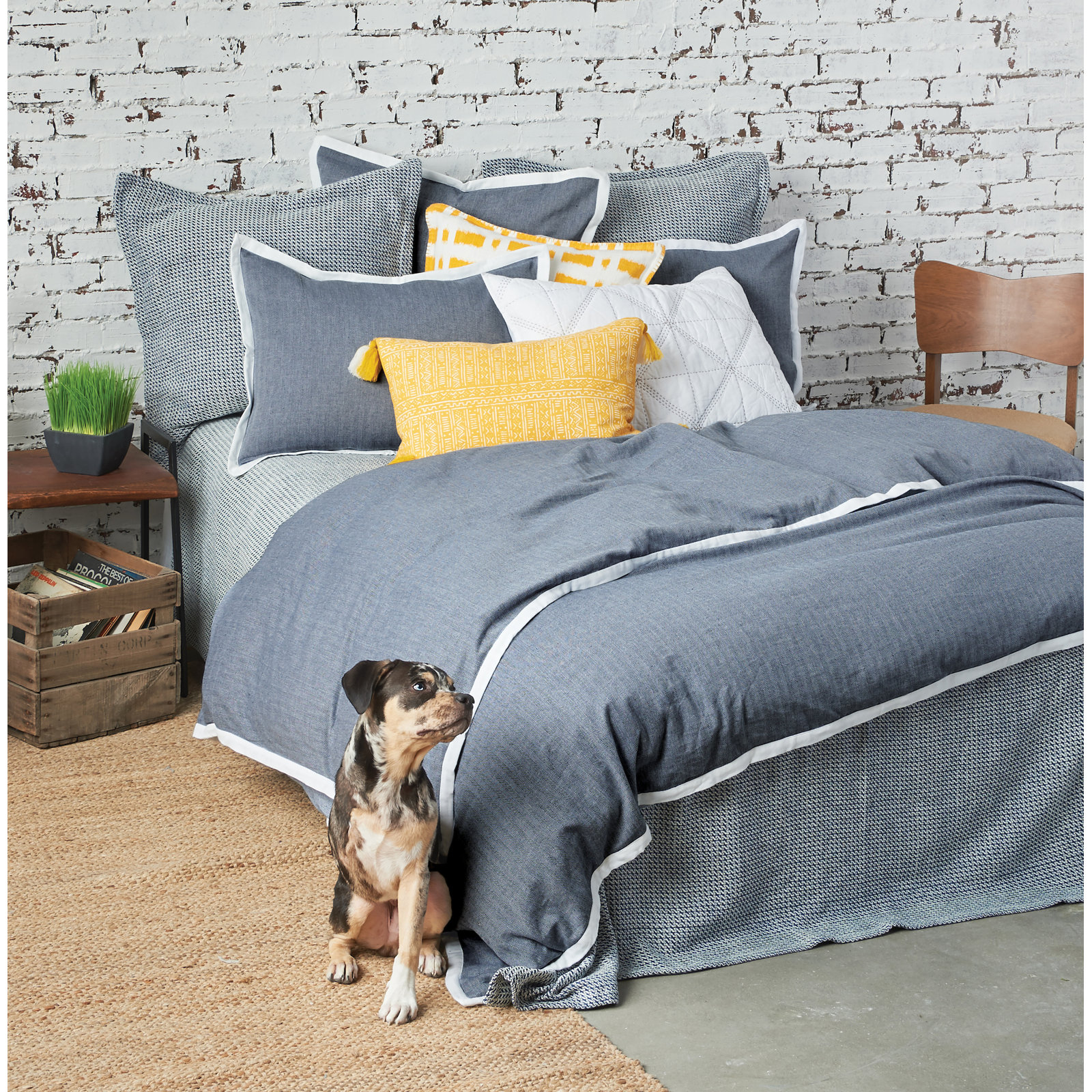 Cotton Shams, Euro, Indigo