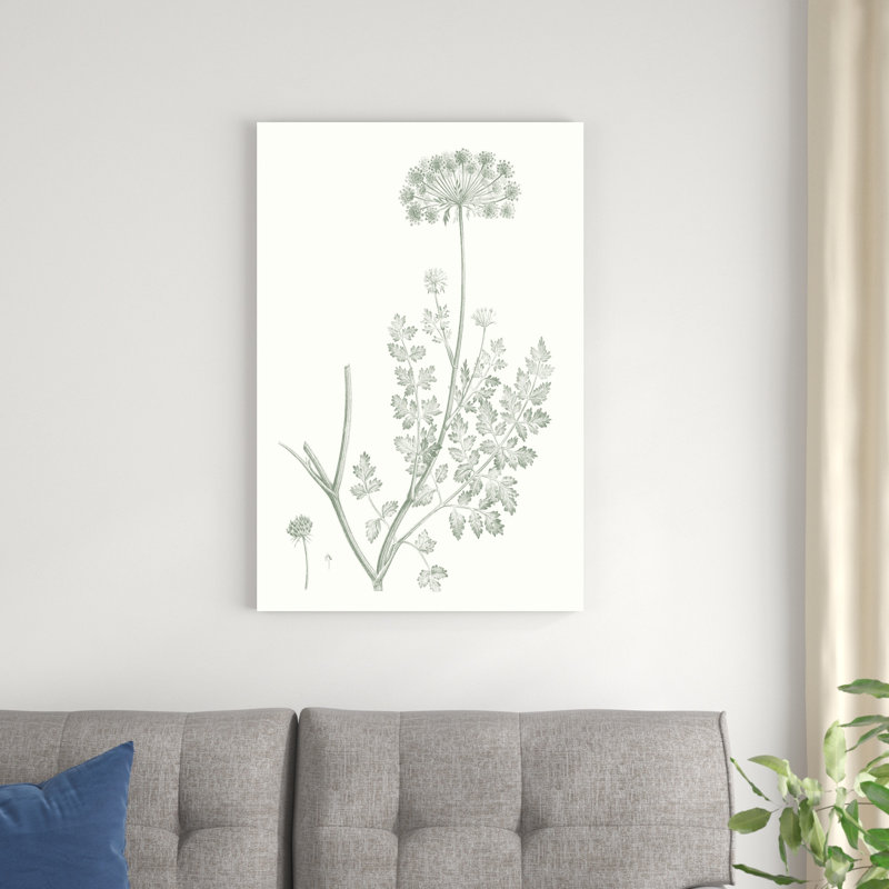 Étude botanique en sauge V, H 36 po x l 24 po