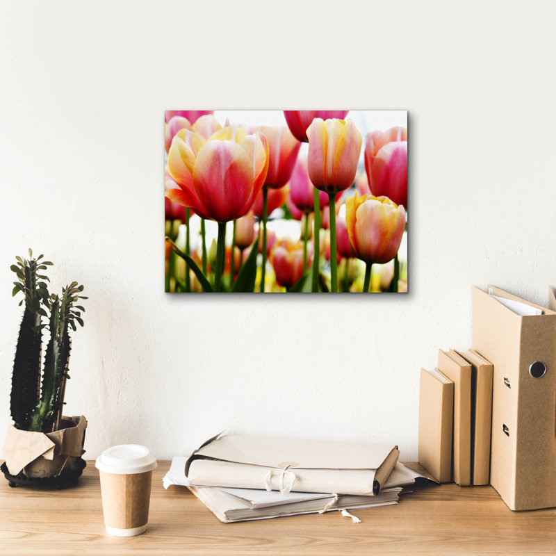 "Tulipes" par PhotoINC Studio, H 12 po x l 16 po x P 0,75 po