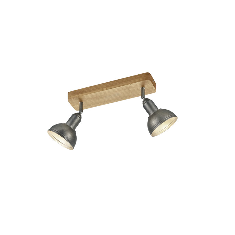 Garza 2-Light Ceiling Spotlight