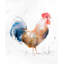 «Rooster Watercolor Style - Blue Animals», reproduction encadrée