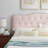 Modway Amber Platform Bed-783962245-783962271