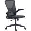 Ergonomic Office Seating With Lumbar Support, Adjustable Height, Black Mesh Back Task Chair Height And Flip-up Arms,