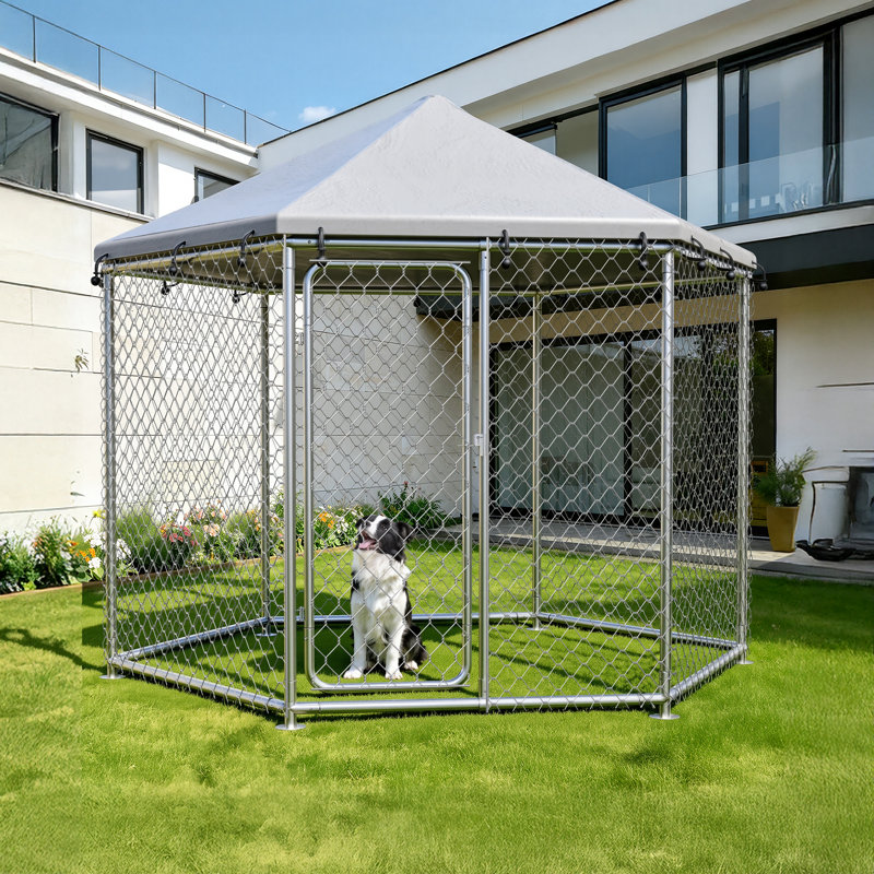 Chenil d'extérieur pour chien, chenil robuste avec verrou sécuritaire, toit hexagonal en acier inoxydable pour animal de compagnie