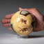 Genuine Polished Septarian (2") Sphere from Madagascar-781913554-781910379