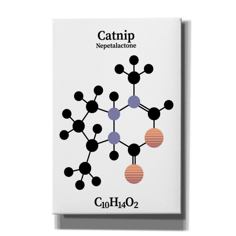 " Catnip Molecule " by Maxim, 18" H x 12" W x 0.75" D